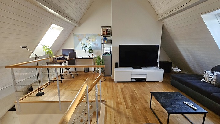 2½ room apartment in Bern - Mattenhof, furnished