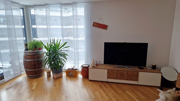 4½ room apartment in Zug, furnished, temporary