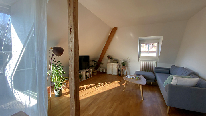 2½ Zimmer-Wohnung in Bern - Breitenrain, möbliert, auf Zeit