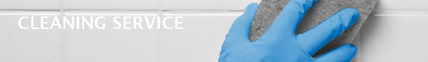 Cleaning & support service Pic___cleaning