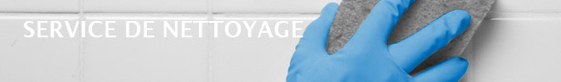 Service de nettoyage et de support Pic___cleaning