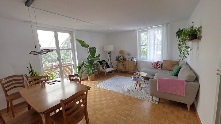 3 room apartment in Zürich - Kreis 10 Wipkingen, furnished, temporary