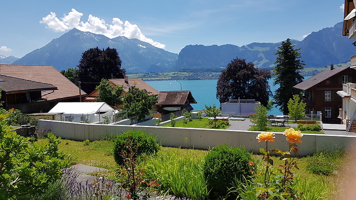 2½ room apartment in Hilterfingen (BE), furnished, temporary