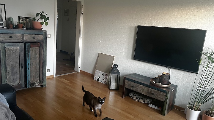 2 Zimmer-Wohnung in Münchenbuchsee (BE), möbliert, auf Zeit