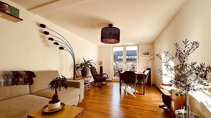 Appartement 3½ pièces à Zürich - Kreis 4, meublé, durée déterminée