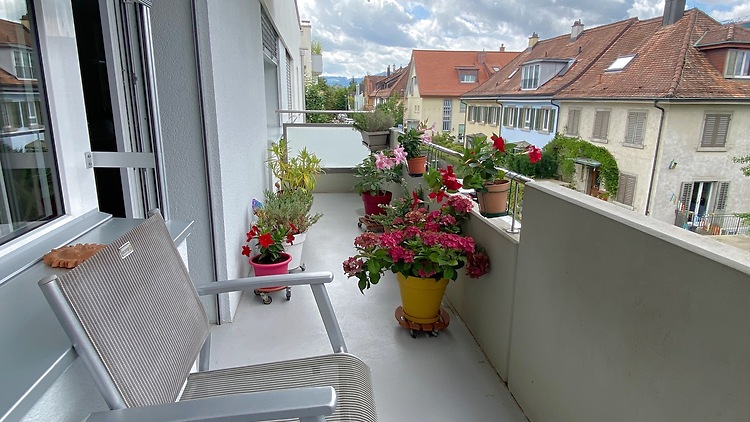 Bild 7