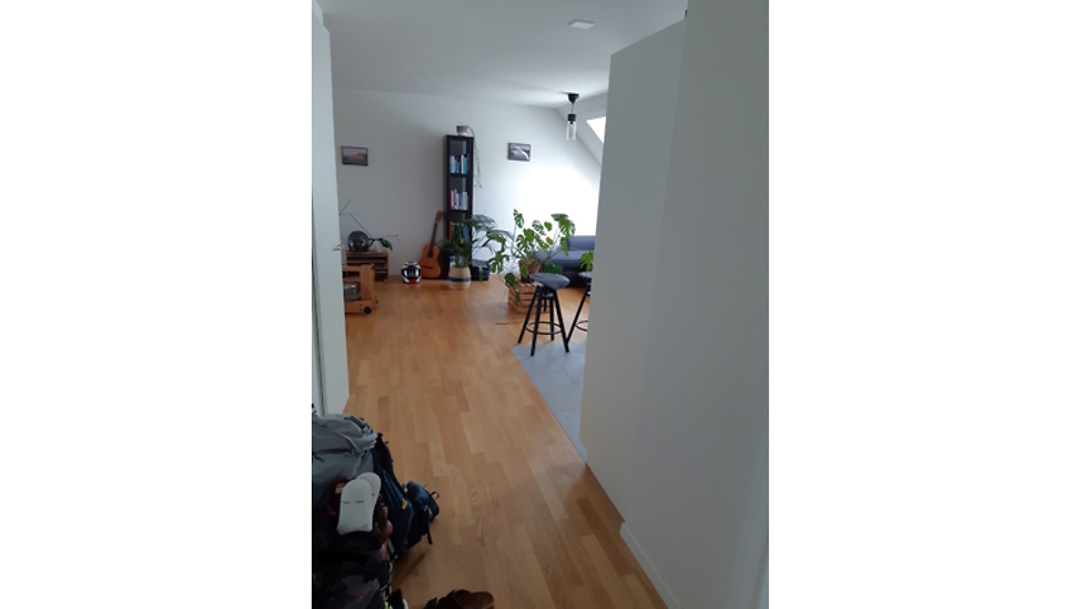 Picture 7