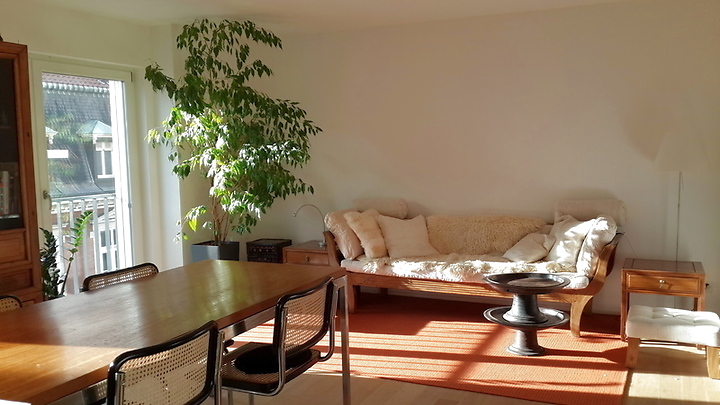 Appartement 2 pièces à Basel - Altstadt/Grossbasel, meublé, durée déterminée