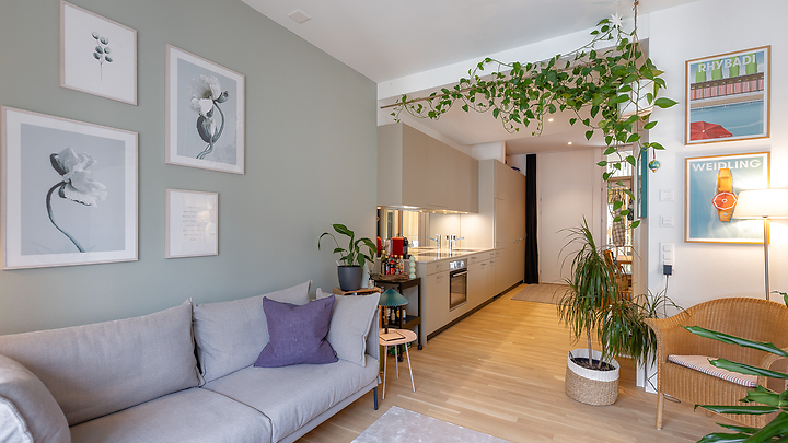 Appartement 1½ pièce à Schaffhausen, meublé, durée déterminée