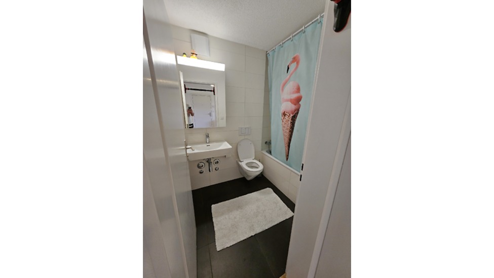 Picture 7