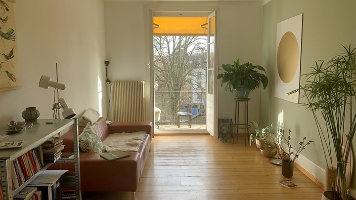 2 room apartment in Bern - Lorraine, furnished, temporary