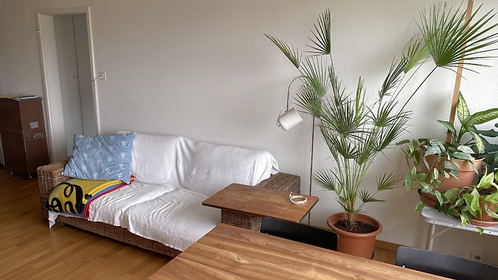 Appartement 2½ pièces à Zürich - Kreis 3 Triemli, meublé, durée déterminée