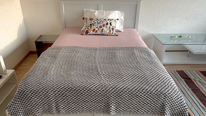 1 room apartment in Bern - Ostring, furnished