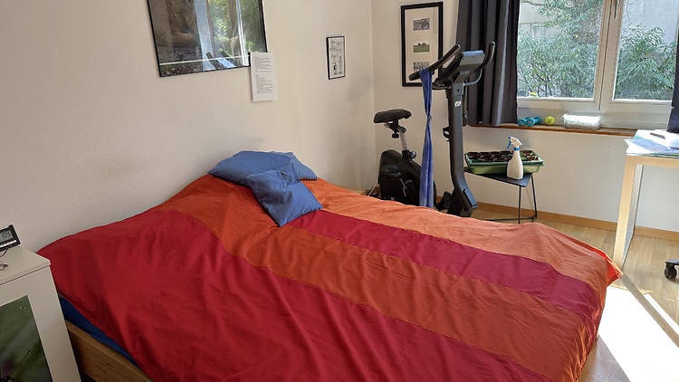 Picture 5