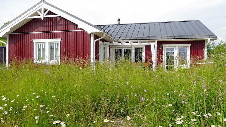 3 Zimmer-Haus in Bannwil (BE), möbliert, auf Zeit