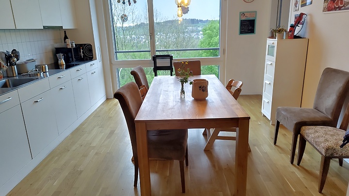 Appartement 4½ pièces à Bern - Felsenau/Tiefenau, meublé, durée déterminée