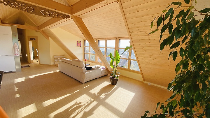 3½ room apartment in Oberbuchsiten (SO), furnished