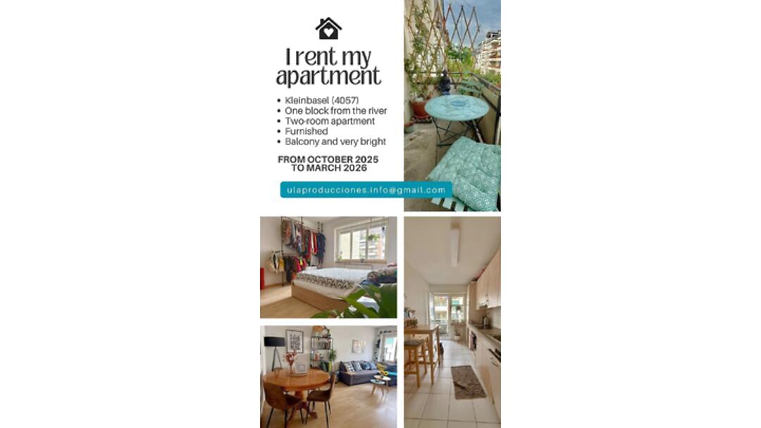 Appartement 2 pièces à Basel - Altstadt/Kleinbasel, meublé, durée déterminée