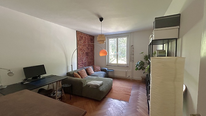 2 Zimmer-Wohnung in Bern - Fischermätteli, möbliert, auf Zeit