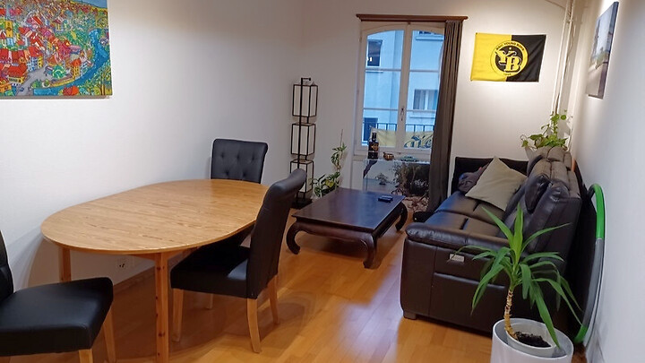 2 Zimmer-Wohnung in Bern - Altstadt, möbliert, auf Zeit