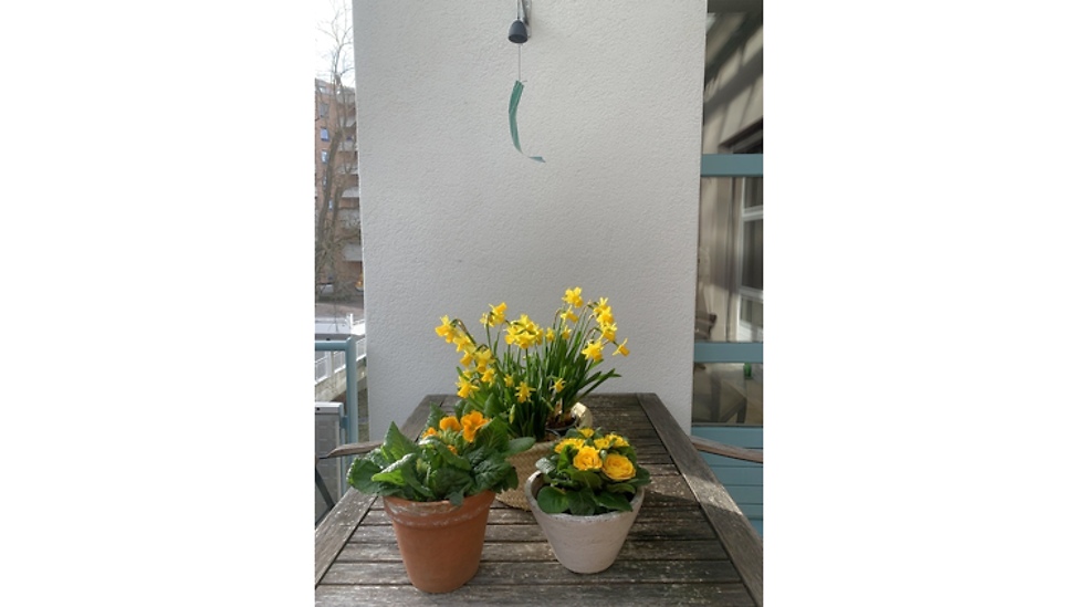 Picture 5