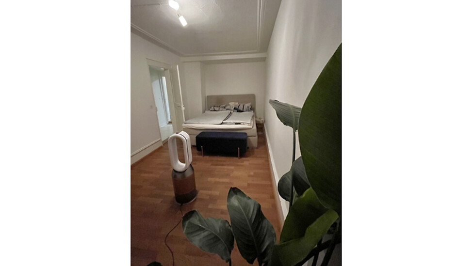Picture 5