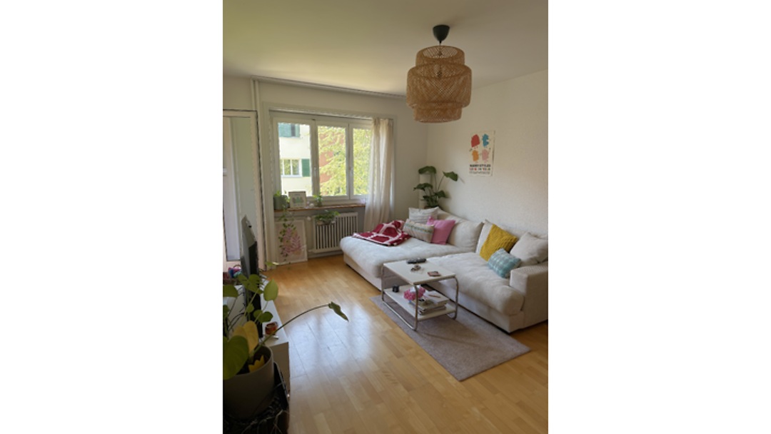 2 room apartment in Bern - Breitenrain, furnished, temporary