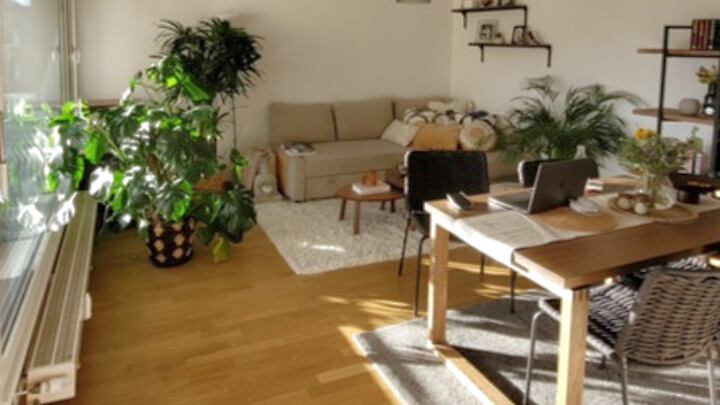 Appartement 2½ pièces à Wettingen (AG), meublé, durée déterminée