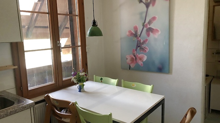 3½ room apartment in Oberwil b. Büren (BE), furnished, temporary