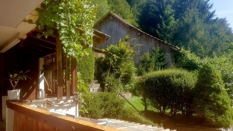 Bild 9