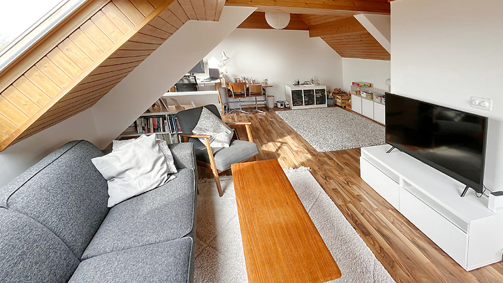 3 room maisonette apartment in Zürich - Kreis 10 Wipkingen, furnished, temporary