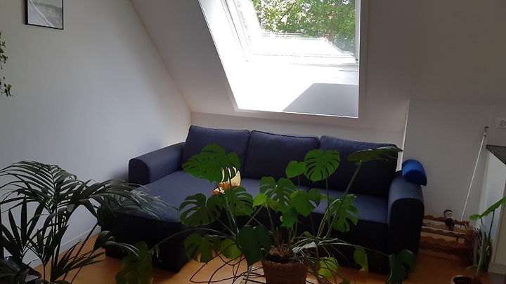 Appartement 2½ pièces à Bern - Mattenhof, meublé, durée déterminée