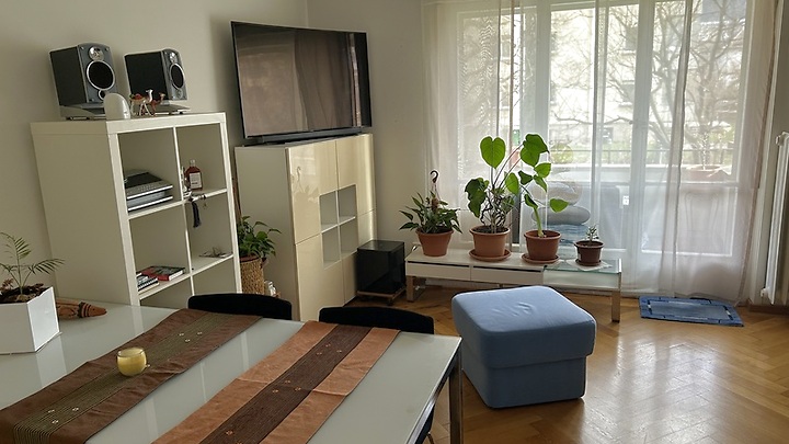 Appartement 3 pièces à Liebefeld (BE), meublé, durée déterminée