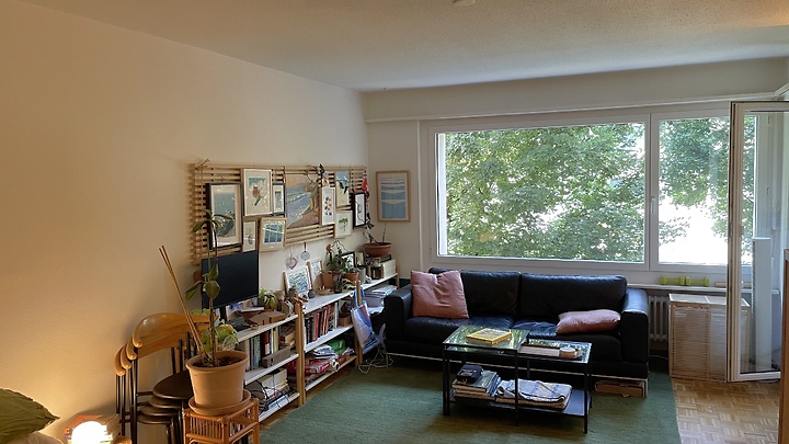 1 Zimmer-Wohnung in Zürich - Kreis 11 Seebach, möbliert, auf Zeit