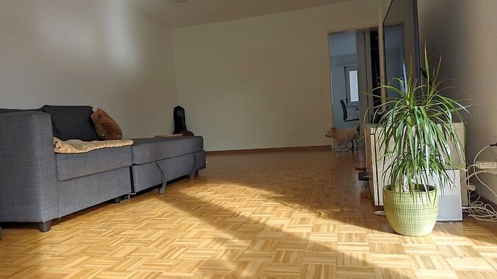 2½ room apartment in Thalwil (ZH), furnished, temporary