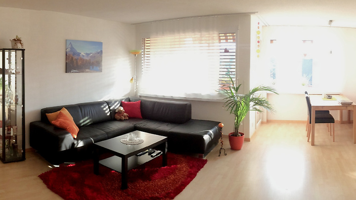 2½ Zimmer-Wohnung in Winznau (SO), möbliert, auf Zeit