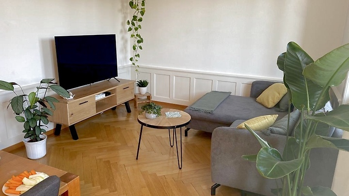 2½ room apartment in Bern - Sulgenau, furnished, temporary