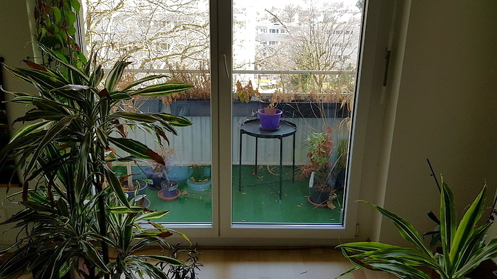 2 room apartment in Zürich - Kreis 11 Seebach, furnished, temporary