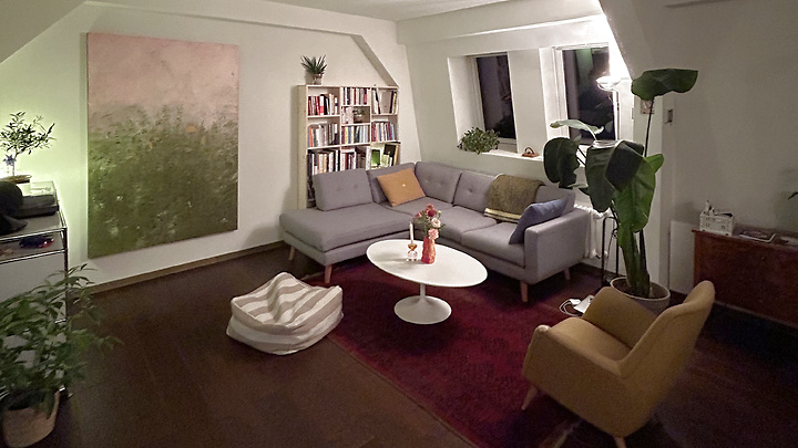 2 room apartment in Zürich - Kreis 3 Wiedikon, furnished, temporary