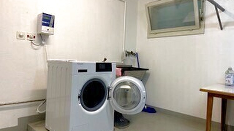 Picture 8