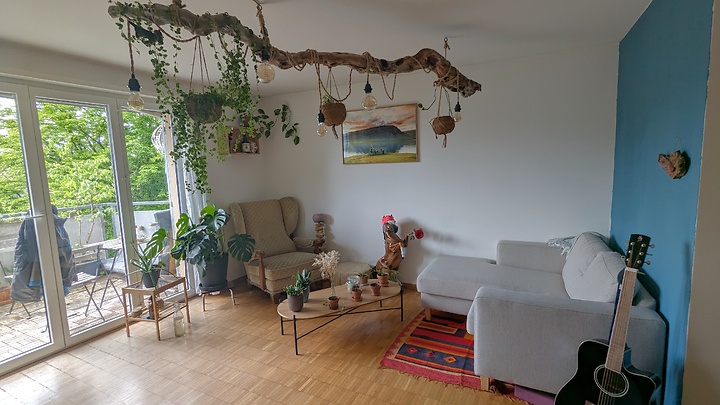 Appartement 4 pièces à Zürich - Kreis 10 Wipkingen, meublé, durée déterminée