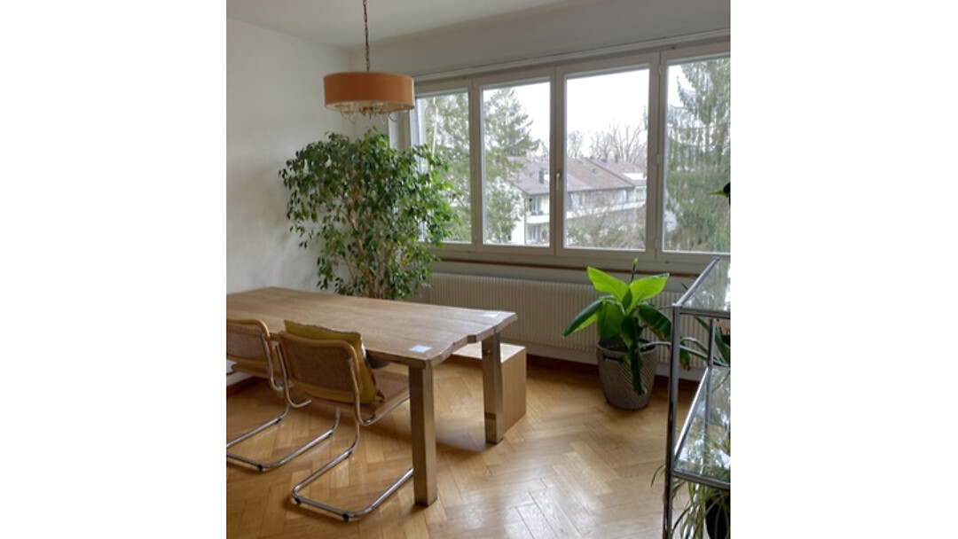 Appartement 2 pièces à Bern - Sulgenau, meublé, durée déterminée