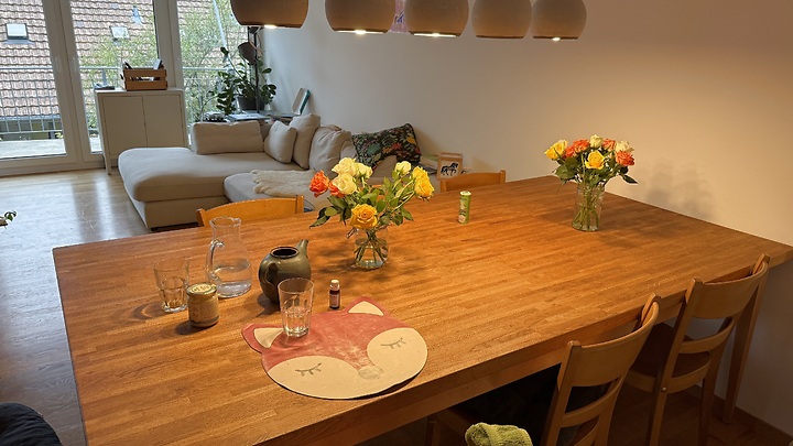 5½ room maisonette apartment in Stadel (Winterthur), furnished, temporary