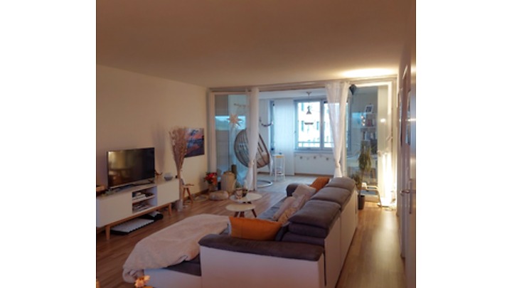 2½ room apartment in Glattpark (Opfikon), furnished, temporary