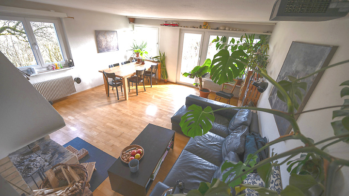 Pour les amoureux des chats à Wohlen b. Bern (BE), meublé, durée déterminée