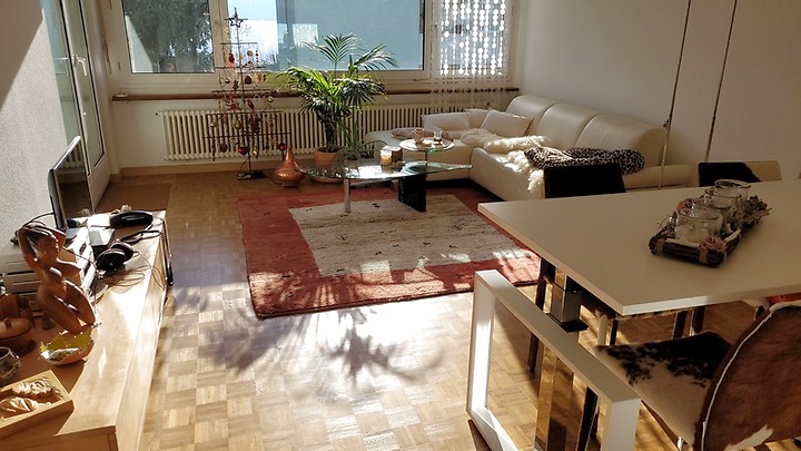 Appartement 3 pièces à Stäfa (ZH), meublé, durée déterminée