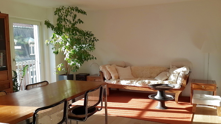 Appartement 2 pièces à Basel - Altstadt/Grossbasel, meublé, durée déterminée