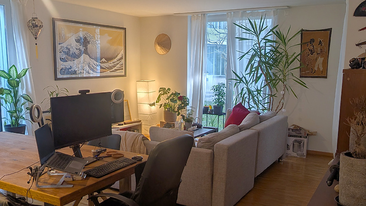 Appartement 1½ pièce à Zürich - Kreis 11 Oerlikon, meublé, durée déterminée