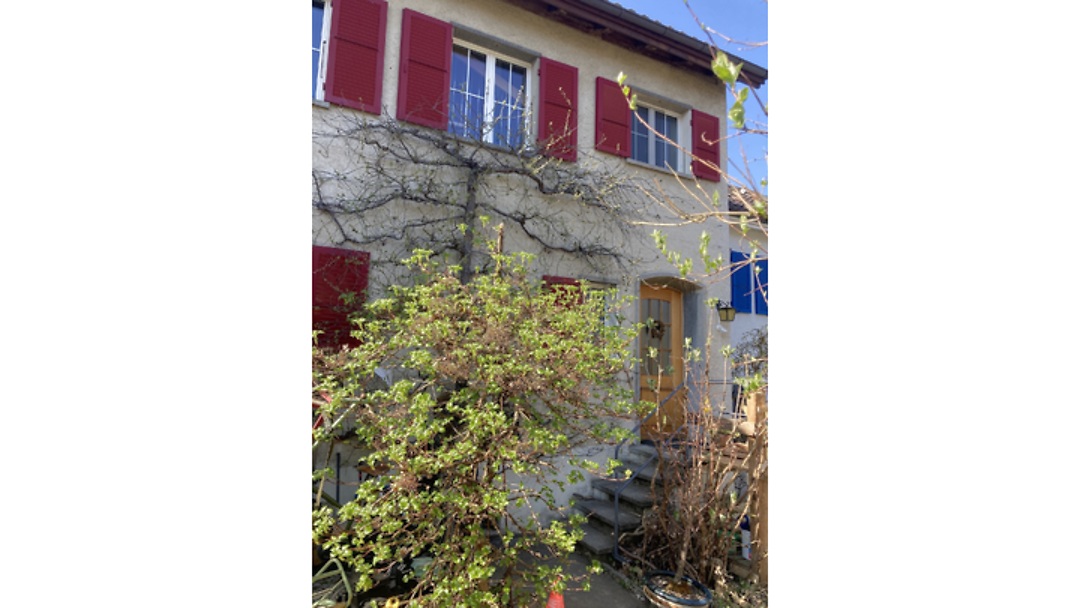 5½ room house in Bern - Wylergut, furnished, temporary
