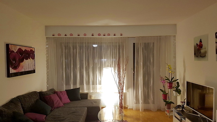 2.5-room-ap near Biel and Bern in Studen (BE), furnished, temporary